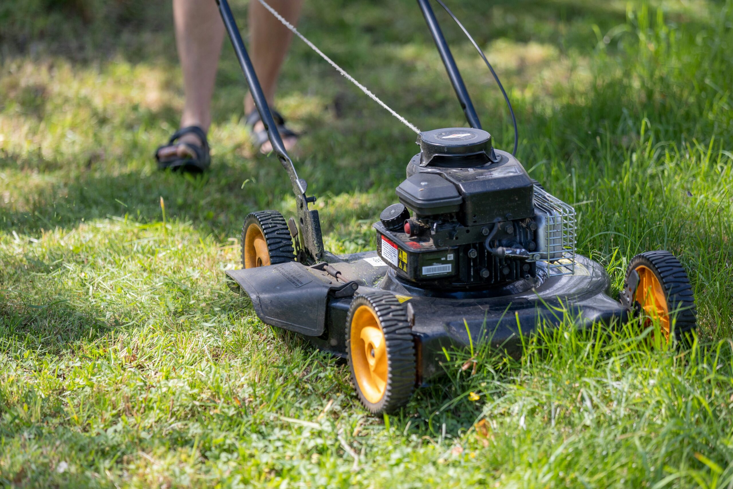 Professional lawn care service